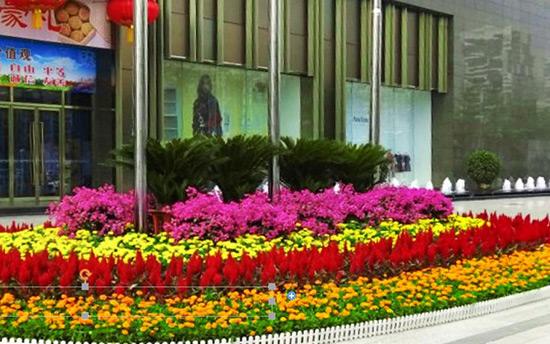 節(jié)日花壇