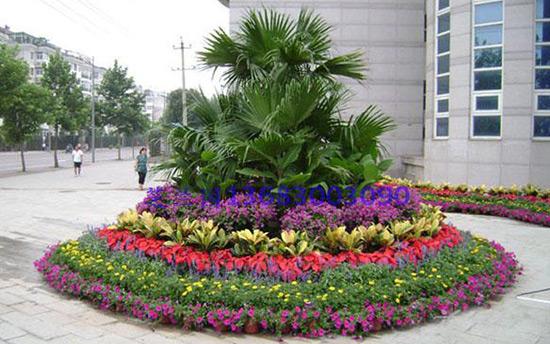 節(jié)日花壇