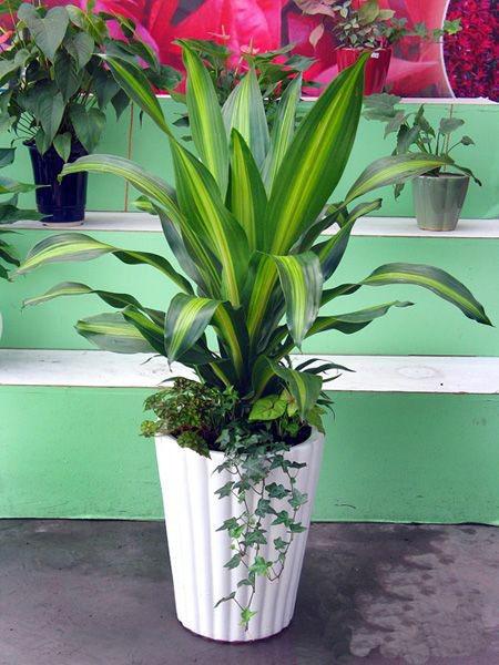 金心也門(mén)鐵2_3