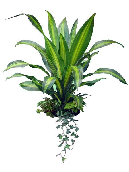 金心也門(mén)鐵2_31