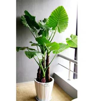 微信圖片_20220520162805