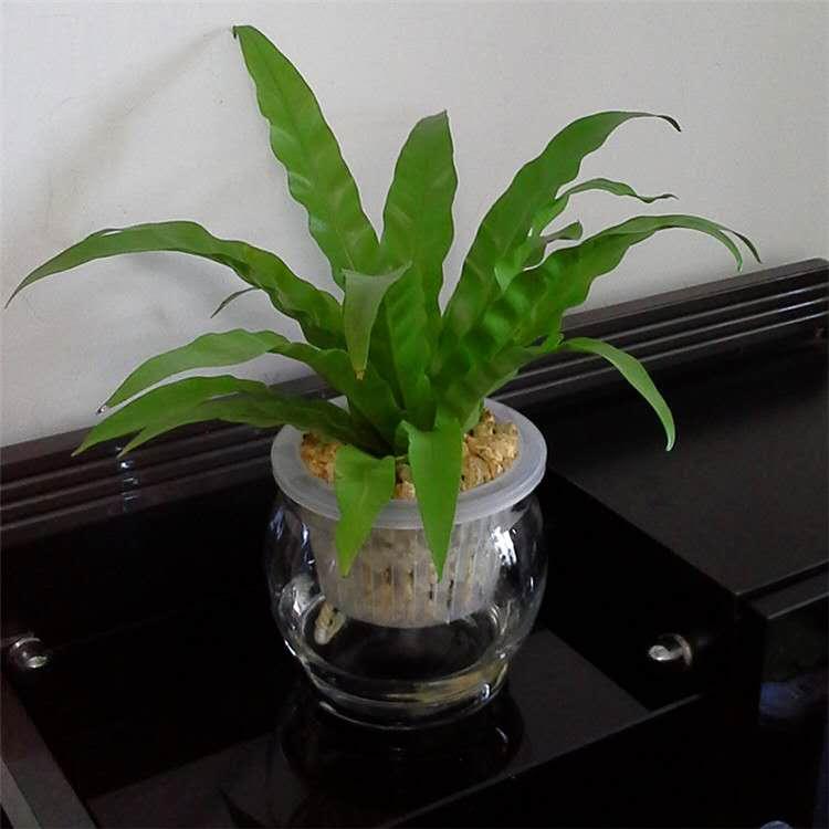 微信圖片_20180918201644