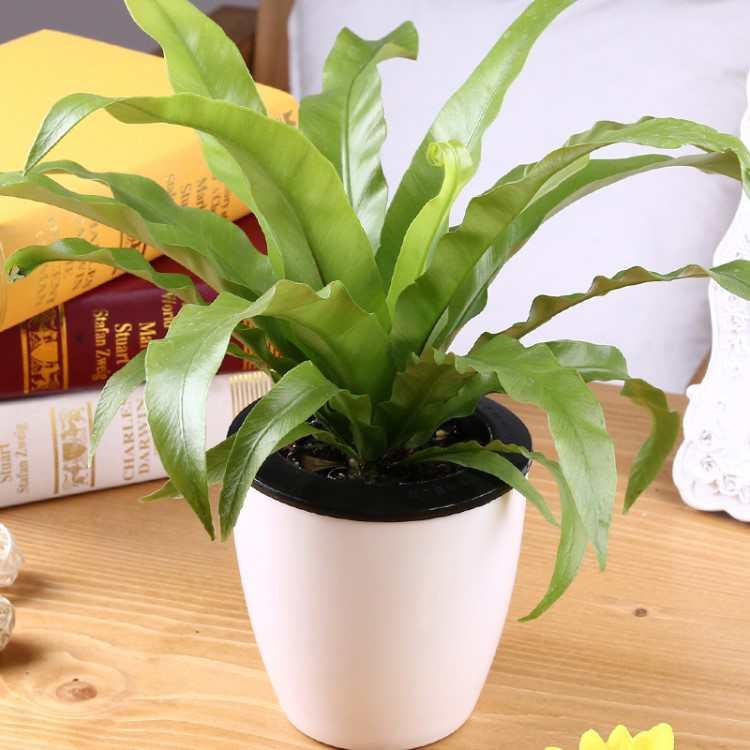 微信圖片_20180918201655